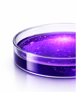 Лабораторія CoLab